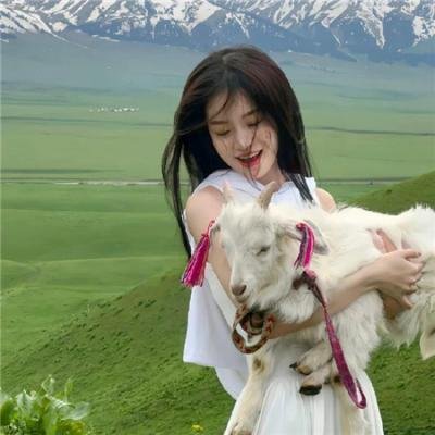好奇害死猫